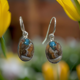 Turquoise Earring Sterling Silver