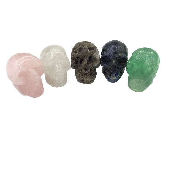 Assorted Skulls