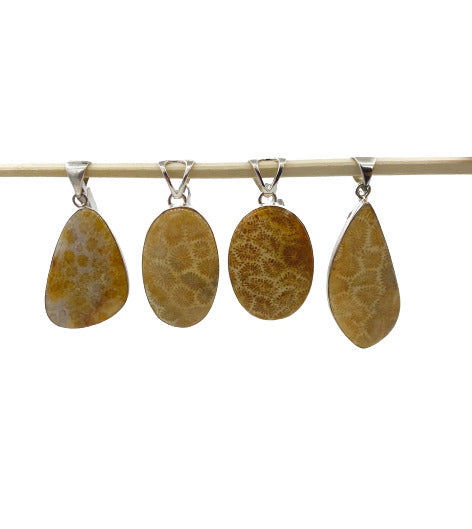 Colony Coral Pendants