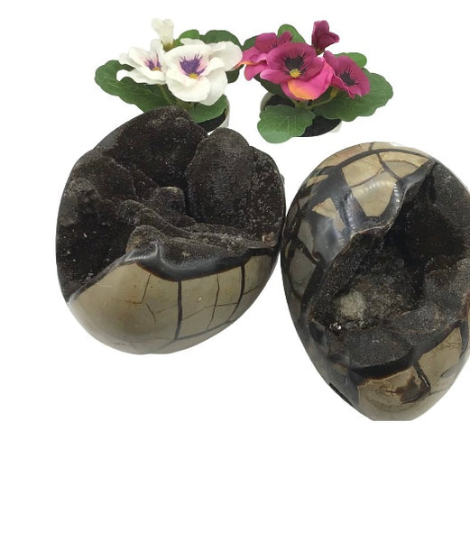 Septarian Dragon Egg