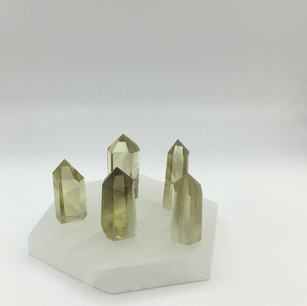 Smoky Citrine Standing Points