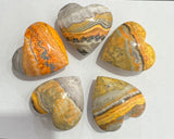 Bumblebee Jasper Hearts