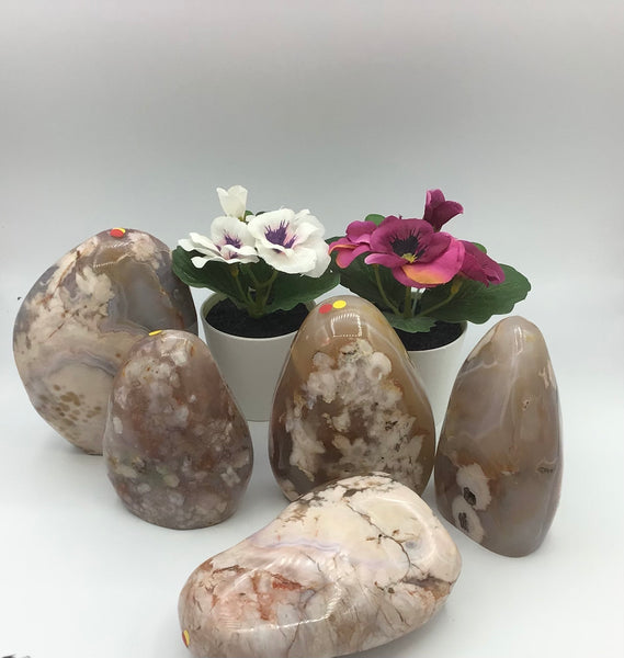 Flower Agate Freeform