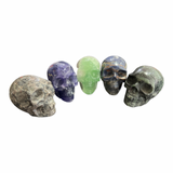 Assorted Skull Large