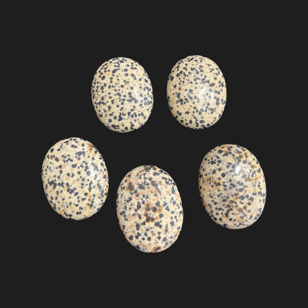 Dalmation Jasper Pebble