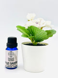 Essential Oil 15ML (Palo Santo,Sage,Lavender,Eucalyptus,Patchouli)