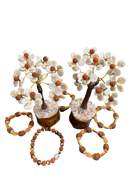 Shiva Eye And Rudraksha Gem Tree