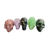 Assorted Skull Large