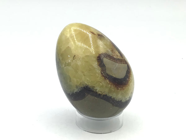 Septarian Eggs