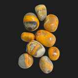 Bumblebee Jasper Tumble