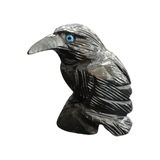 Black Onyx Raven