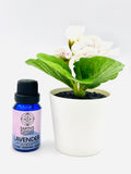 Essential Oil 15ML (Palo Santo,Sage,Lavender,Eucalyptus,Patchouli)