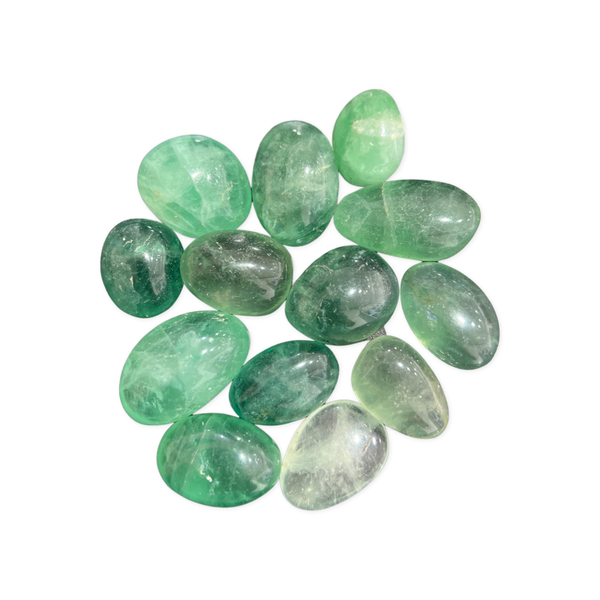 Fluorite-irregular Egg Shape