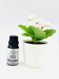 Essential Oil 15ML (Palo Santo,Sage,Lavender,Eucalyptus,Patchouli)