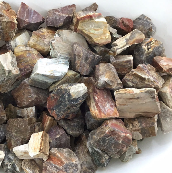 Petrified Wood Rough Pieces