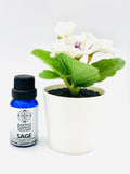 Essential Oil 15ML (Palo Santo,Sage,Lavender,Eucalyptus,Patchouli)