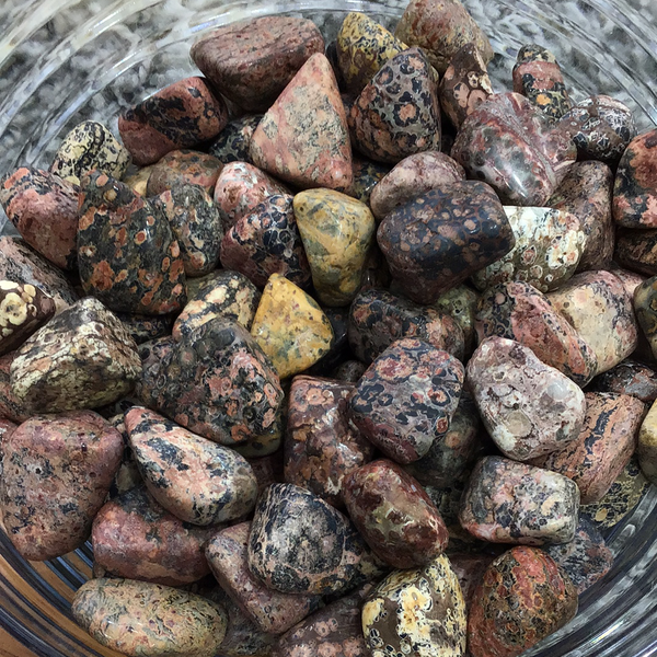 Leopard Skin Jasper Tumbled